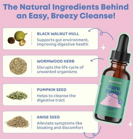 JoySpring Holiday Wellness Kit